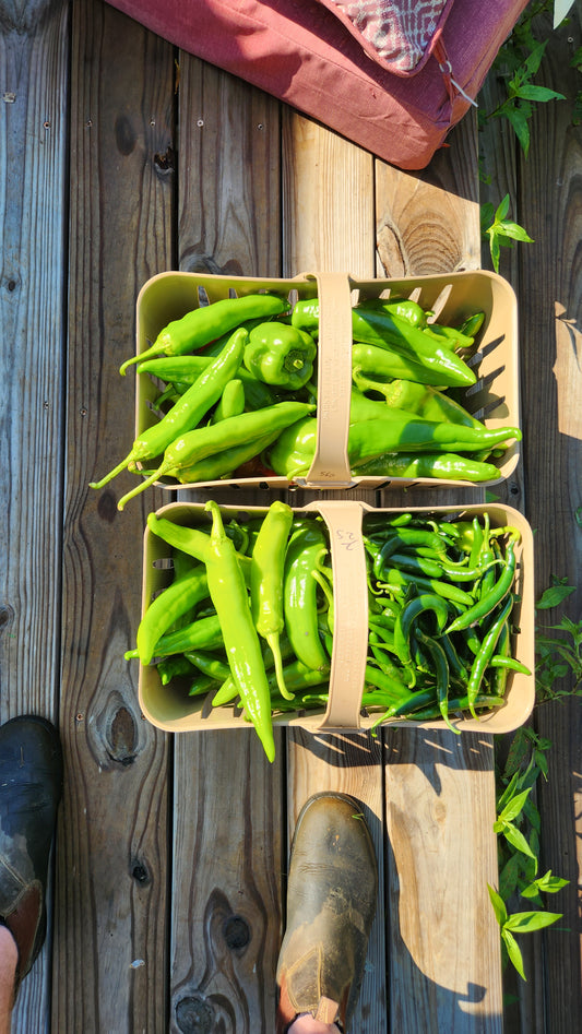 10lbs of peppers